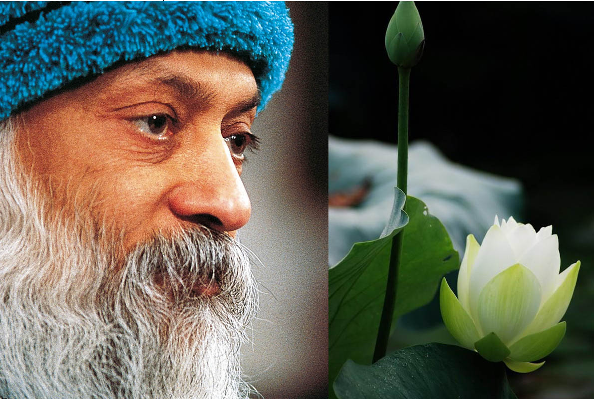 Thiền Osho 02.jpg